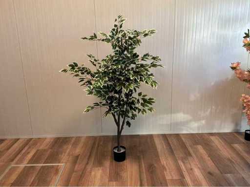 Pianta artificiale di ficus (2 volte)