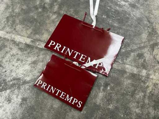 Printemps Large batch of shopping bags (1100x)