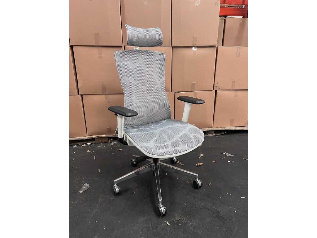 1x chaise de bureau Ergo 4 gris blanc