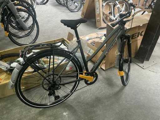 Bicicletă Diamant Elan Grand Deluxe pentru femei