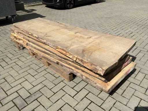 Tree trunk scale (5x)