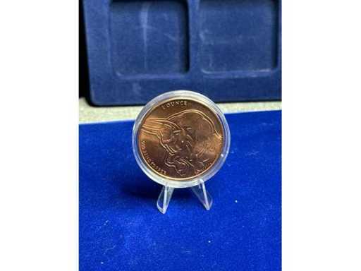 Dublin Commemorative Coin