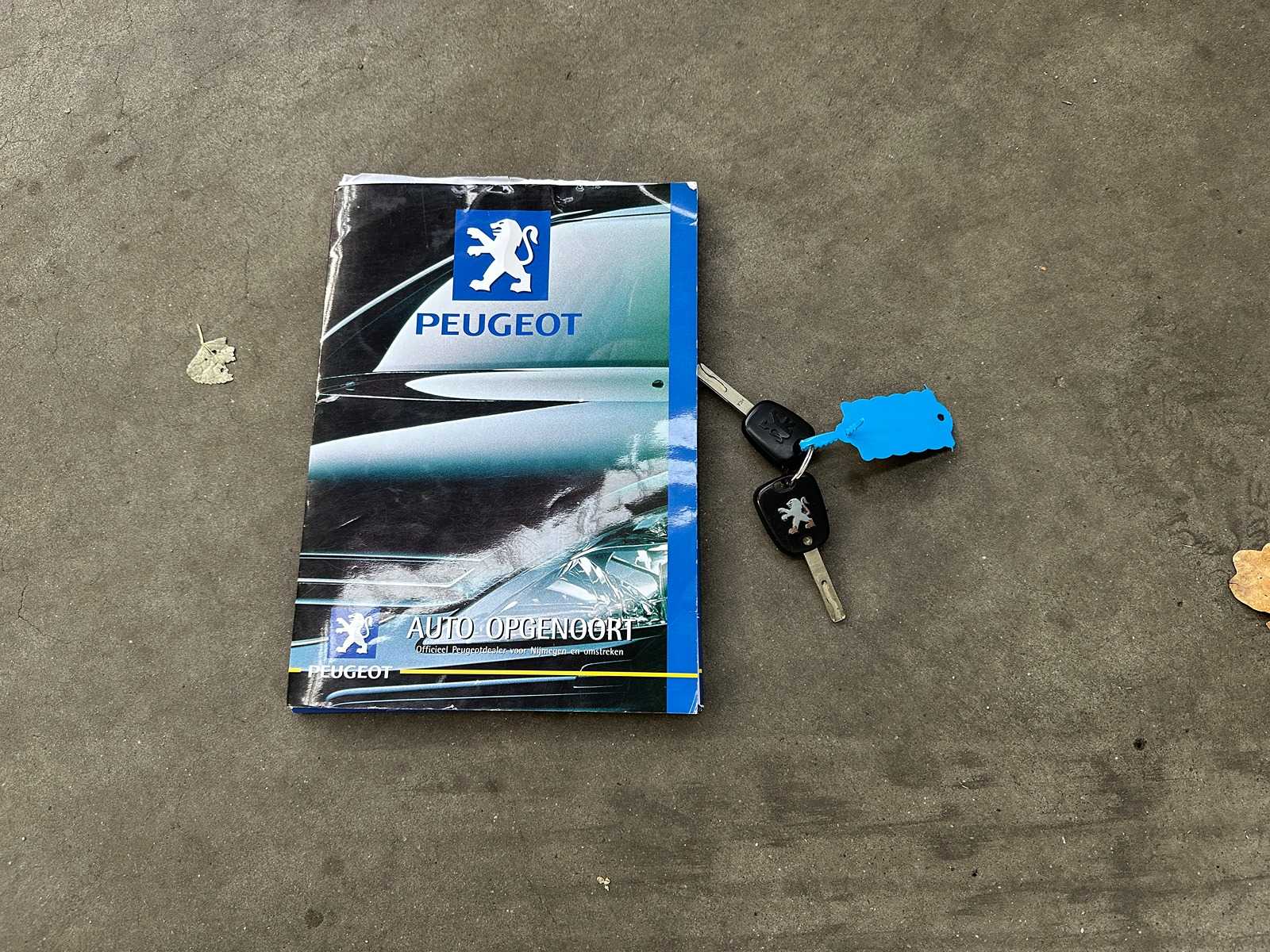 Peugeot 307 SW 1.6 16V 109pk 2003, 98-NL-HN