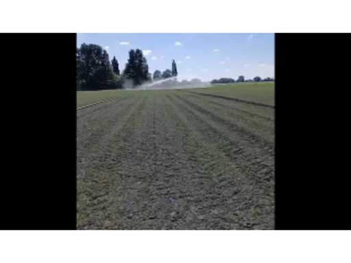 858301cb-fa99-488d-afe8-620431441194.mp4