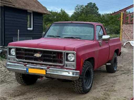 Chevrolet - C10 - Pick-up - 1979 