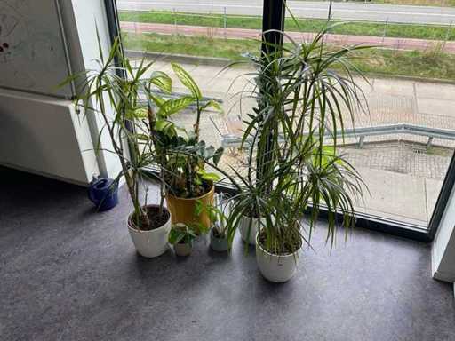 Planten met pot (7x)