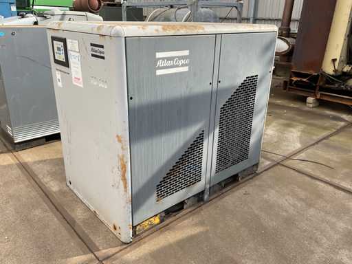 2006 Atlas Copco FD 600 A FS IEC Schroefcompressor