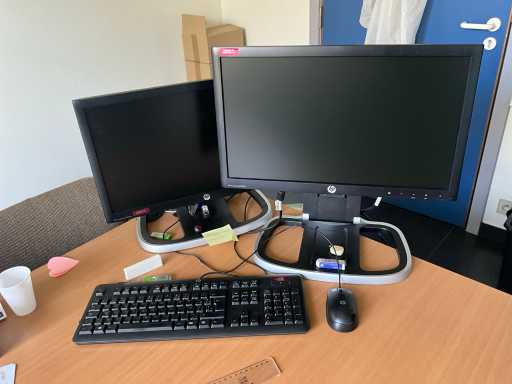 Écran HP LE2002xi (2x)