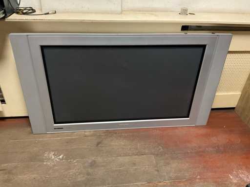 Philips Televisie (2x)