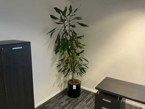 Planten met pot (3x)