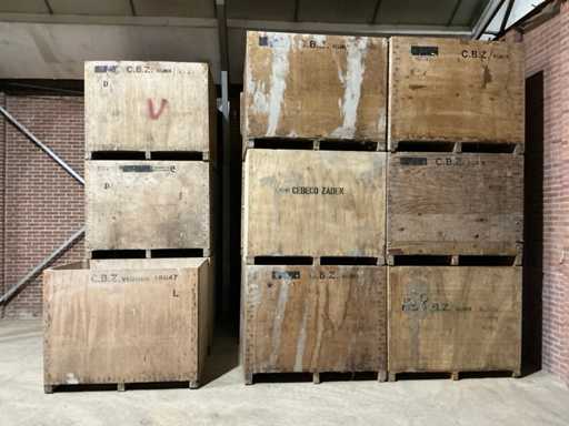 Owocowo-warzywny Kuubkistst (25x)