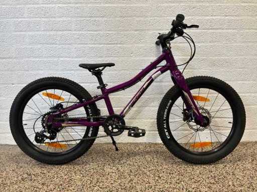Merida Matts. J 20+ Children's mountain bike - 25 cm. / 20”