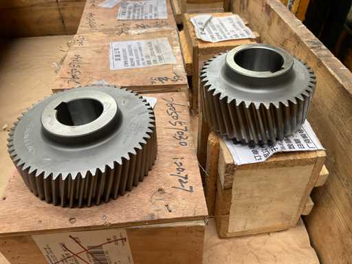 Kit de caja de cambios BSA4SG (4x)