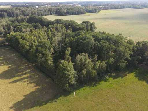 Land of 1.45 hectares near the Elbe, Bad Schmiedeberg - Germany