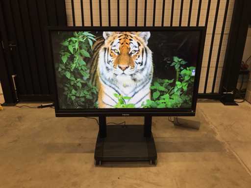 Prowise (PW1.13065.0002) 65", 3840x2160 (UHD) Lavagna interattiva a LED