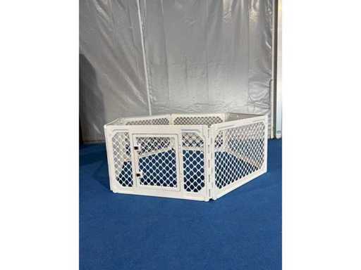 Plastique de course pour chiots