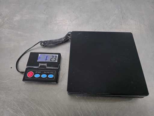 Scala digitale SF-890