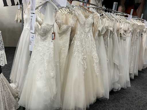 DEMETRIOS Bruidsjurken (20x)