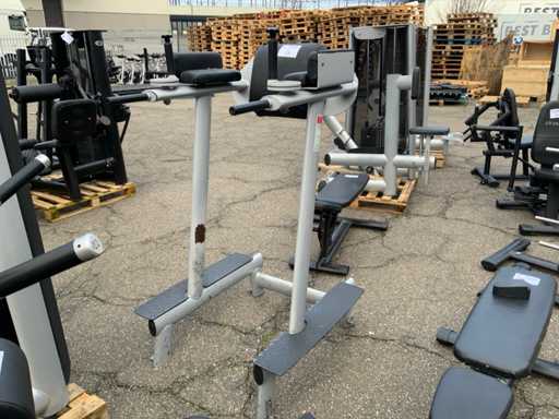 Gym80 legraise/dip machine Krachtstation