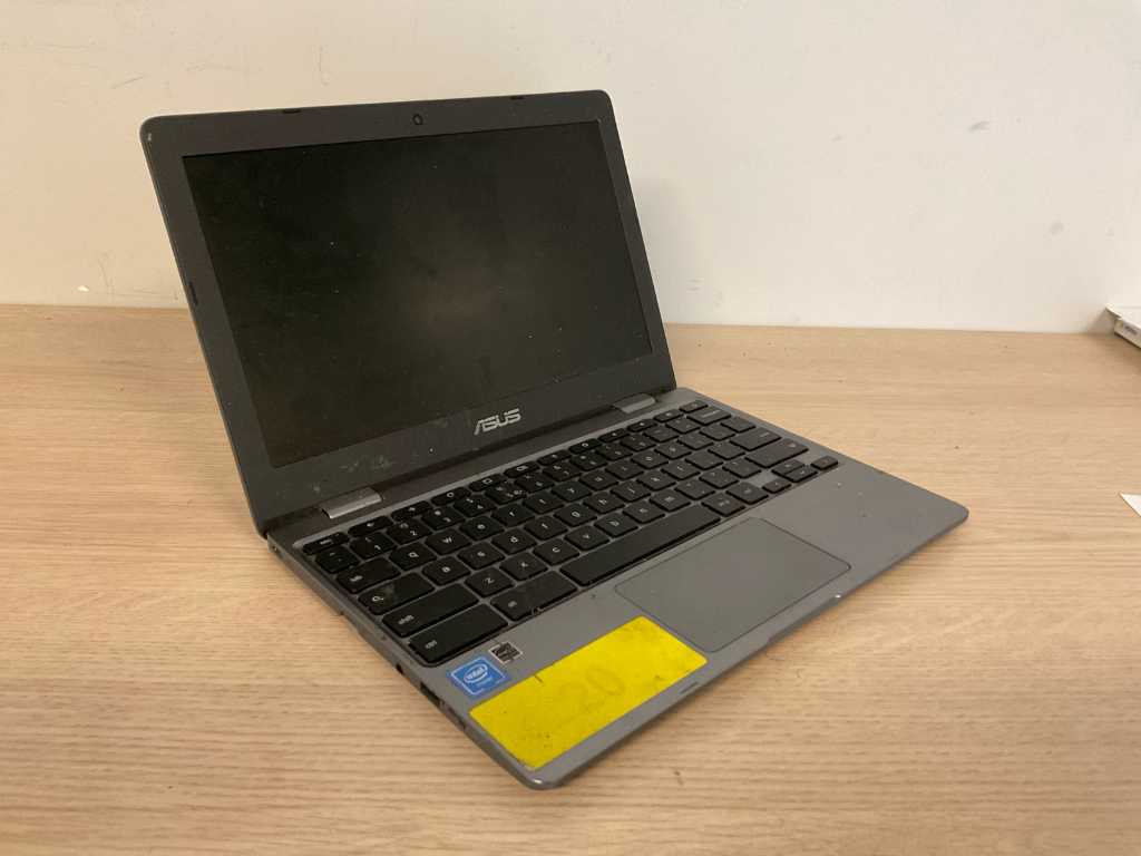 Asus Chromebook C223NA-GJ0088