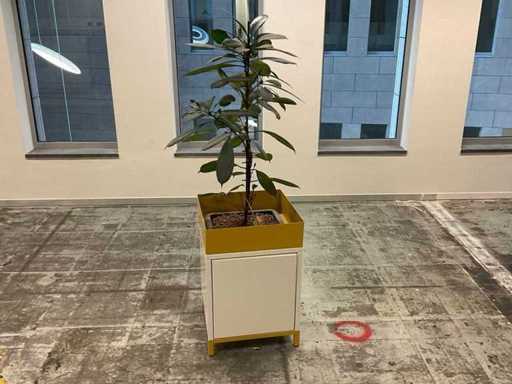 Hydrocultuurplant met plantenbak