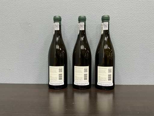 Brookdale Estate Chenin Blanc 2022 (3x)