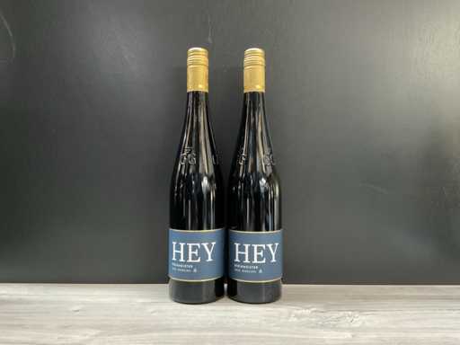 Hey Steinmeister Riesling GG 2020 (2x)