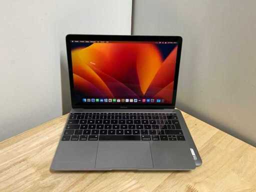 Apple MACBook Pro A1534 Ordinateur portable (2x)