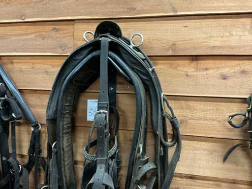 Eenpan horse harness