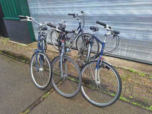 4x fietsen Batavus Koga Cannondale Gazelle dames heren (4x)