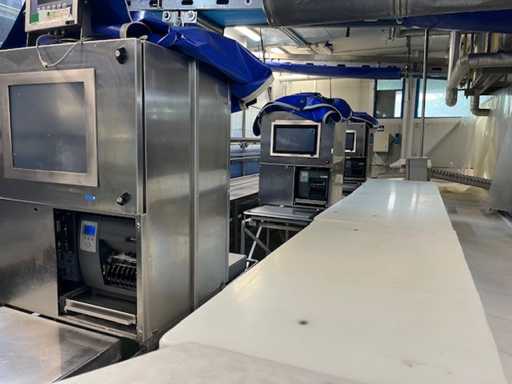 CM scales snc Double-sided scales for weighing anatomical cuts (9x)