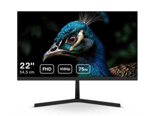 Dahua B200s 22" Monitor