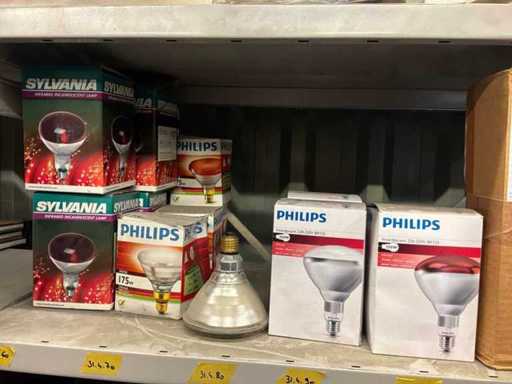 Lamp divers