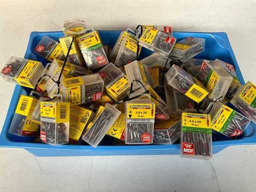 Rotadrill Diverse schroeven RVS, verzinkt en messing in blister (100x)