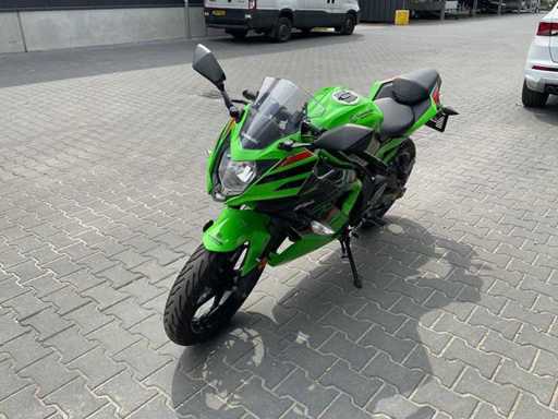 2023 Kawasaki Ninja 125 Motorcycle