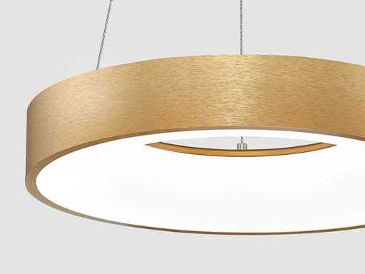 4 x Solo Annelo 60 Led pendellamp goud