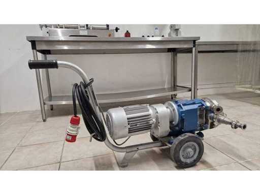 Pompa industriale mobile – Acciaio inox – 3 fasi 380V