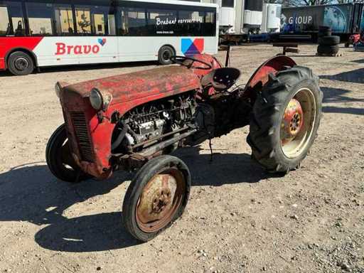 Massey Ferguson Tef 20 Oldtimer-Traktor