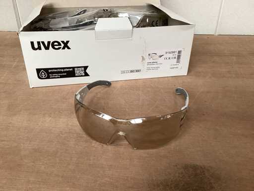 UVEX Pheos Veiligheidsbril anti fog (80x)