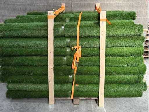 Runde – Kunstrasen (62x)