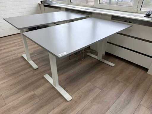Electric Adjustable Desk