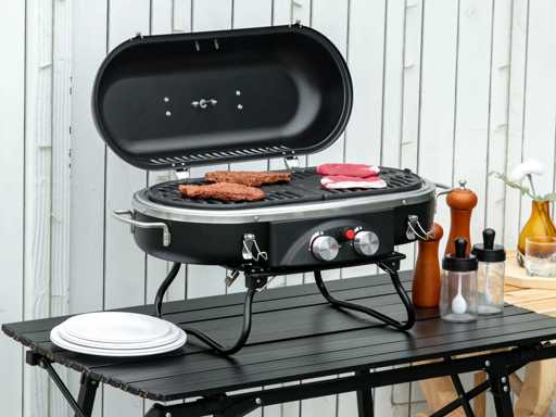 2,34 kW opvouwbare gasgrill met 2 roestvrijstalen branders