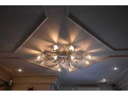Disign Design Plafoniere