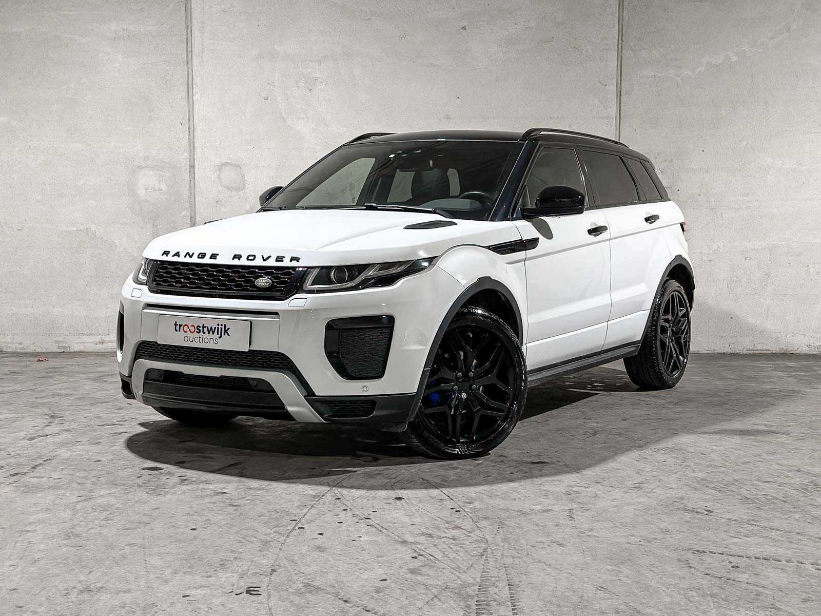 Premium daily drivers te Tiel