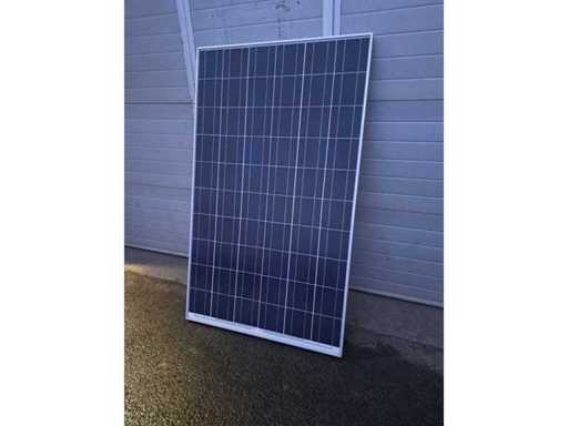 GLORIA SOLAR - GSM6-225D-E1 - Solarpanel
