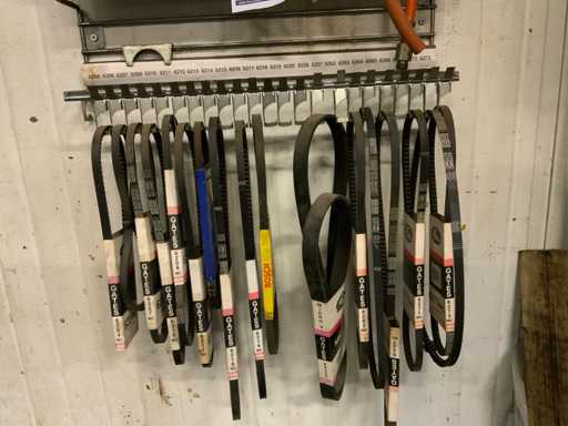 Curele de distribuție Gates pe rack