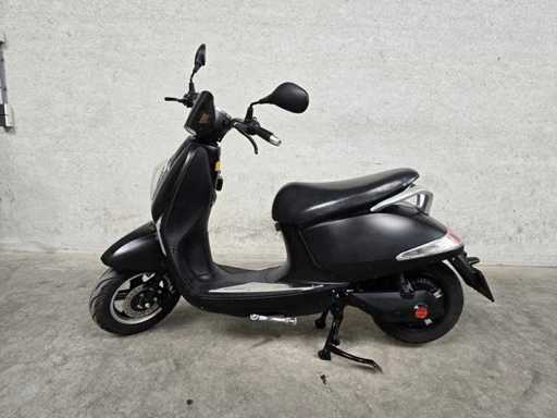 Collector's Auction Scooters & Motorcycles
