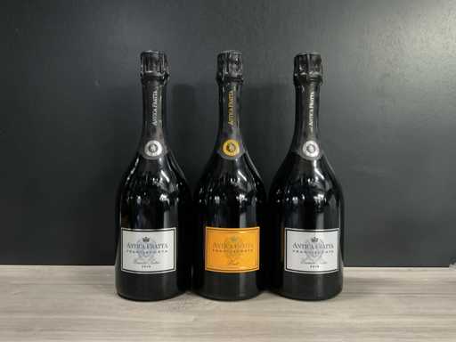 2019 Antica Fratta Franciacorta Essence  Satèn 2019/ Brut (3x)