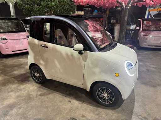 Microcar électrique 2026 (45 km/h)