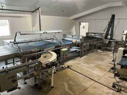 Packaging Technologies Conveyor with assembly system